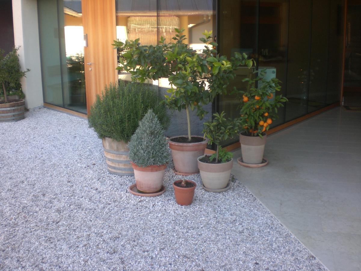 Biobauernhof St. Quirinus Apartment Caldaro Exterior photo